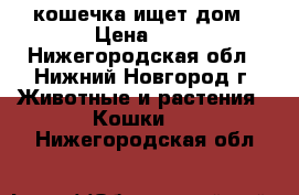 кошечка ищет дом › Цена ­ 1 - Нижегородская обл., Нижний Новгород г. Животные и растения » Кошки   . Нижегородская обл.